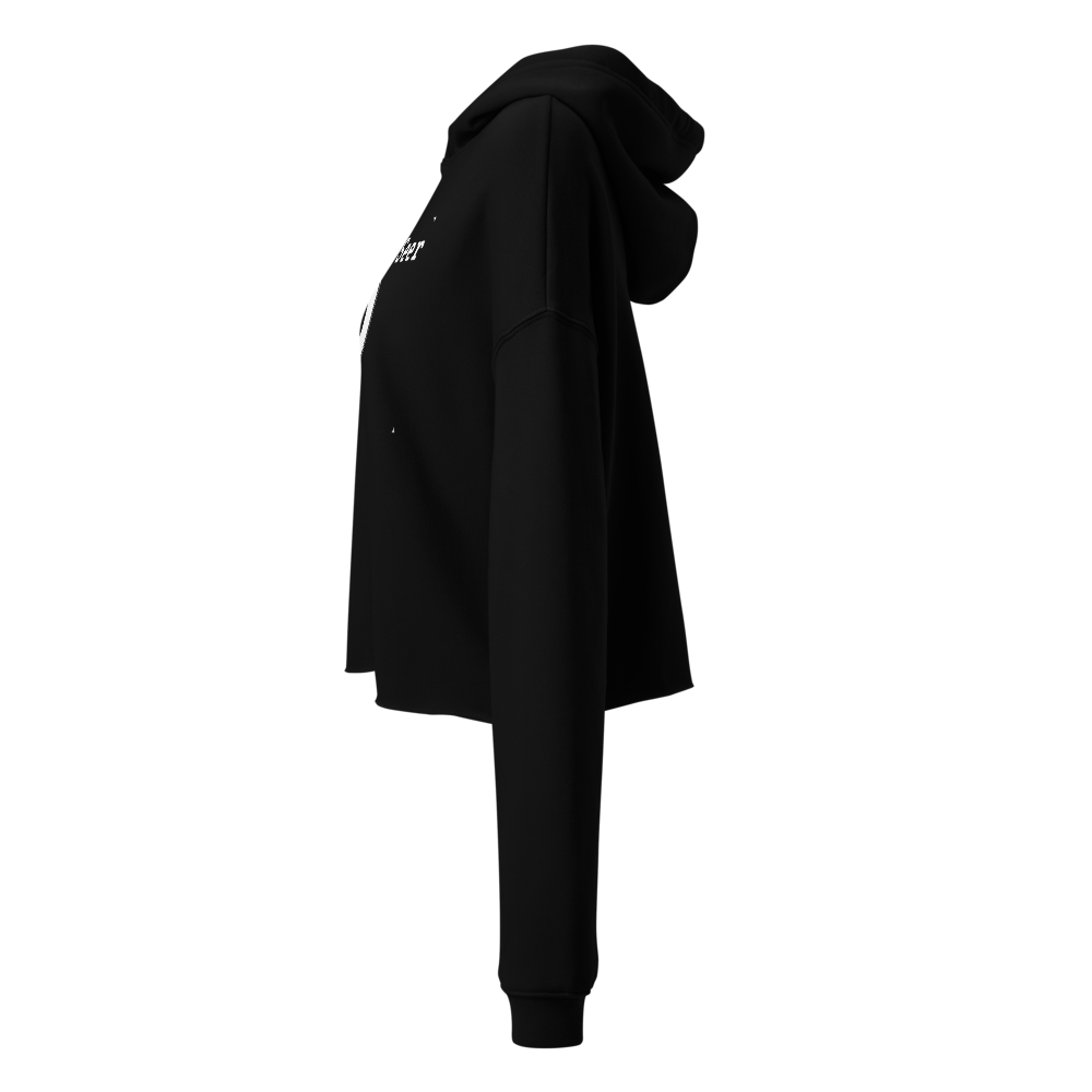 Cropped Circle Surveillance Hoodie  thumbnail 2