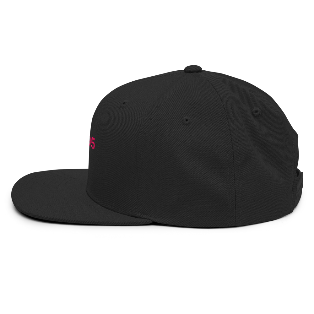 HITS 95 Classic Snapback thumbnail 4