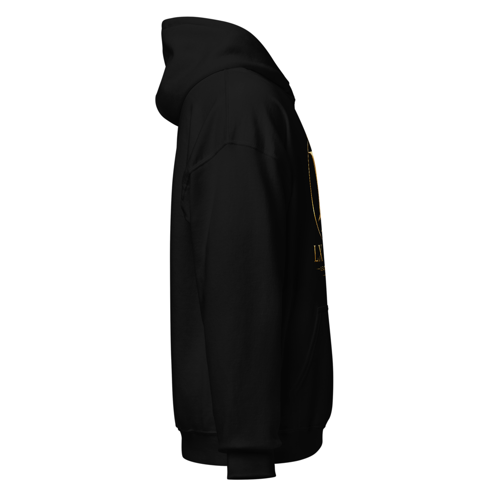 Luxury hoddie thumbnail 4