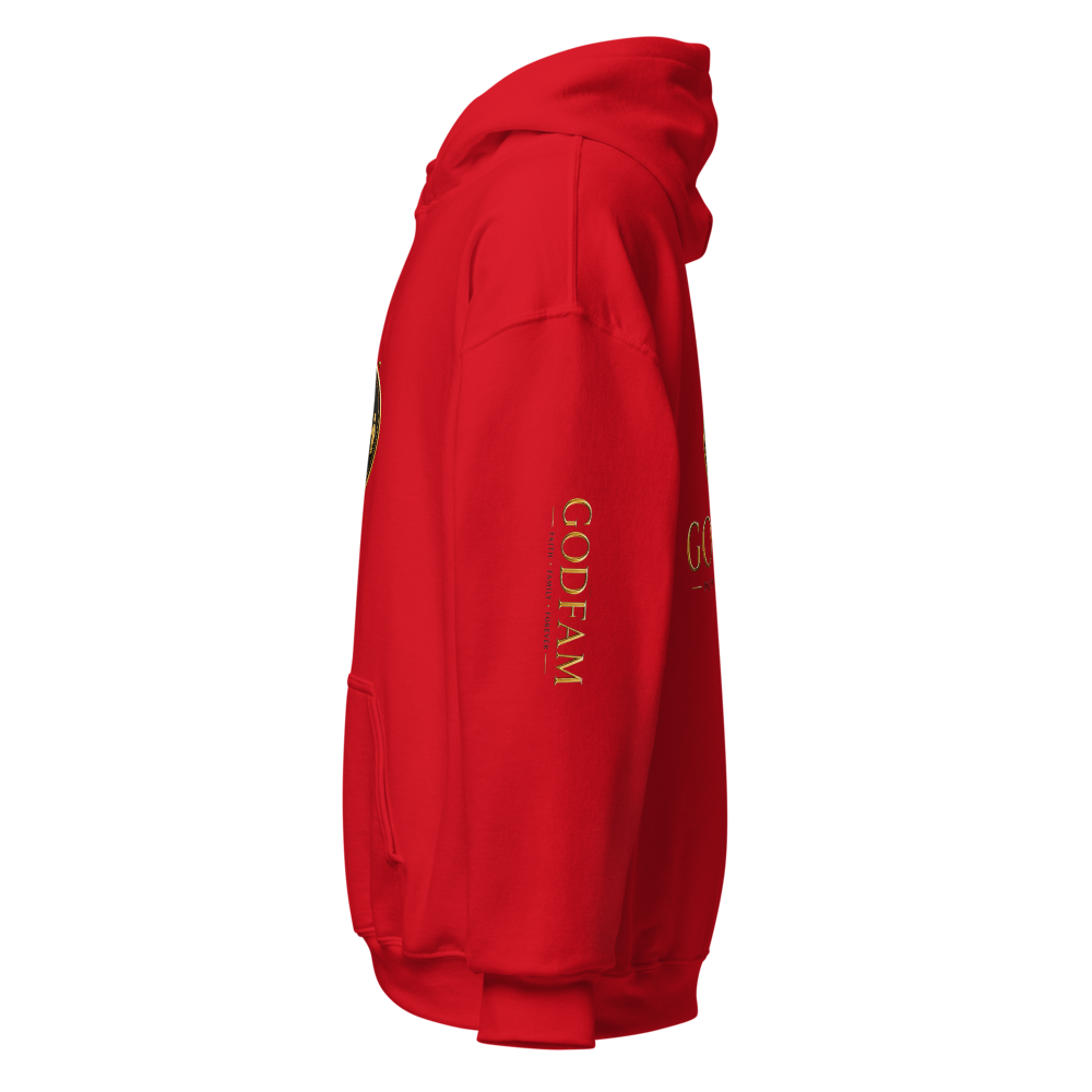 GODFAM Sweat Hoodie thumbnail 4