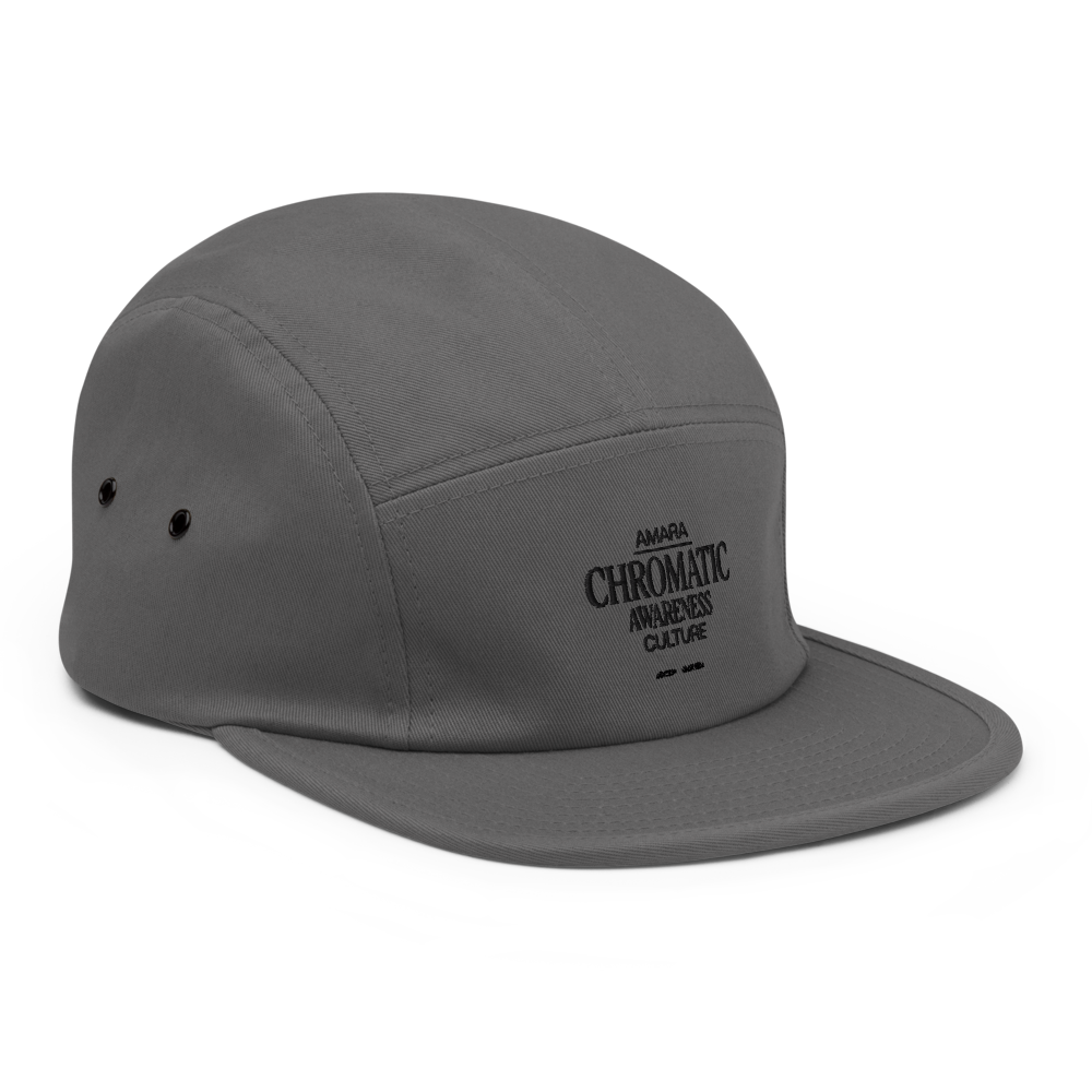 CHROMATIC 5 Panel Cap - Grey thumbnail 5