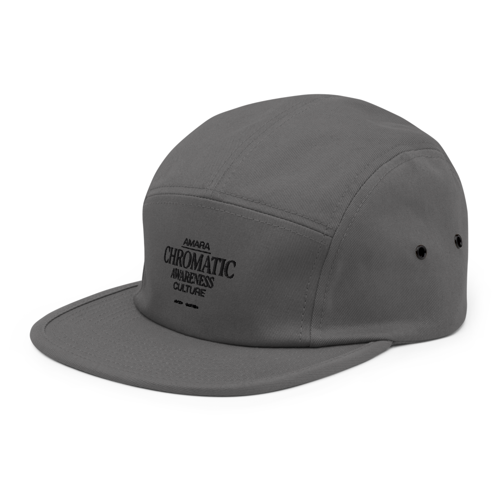 CHROMATIC 5 Panel Cap - Grey thumbnail 3