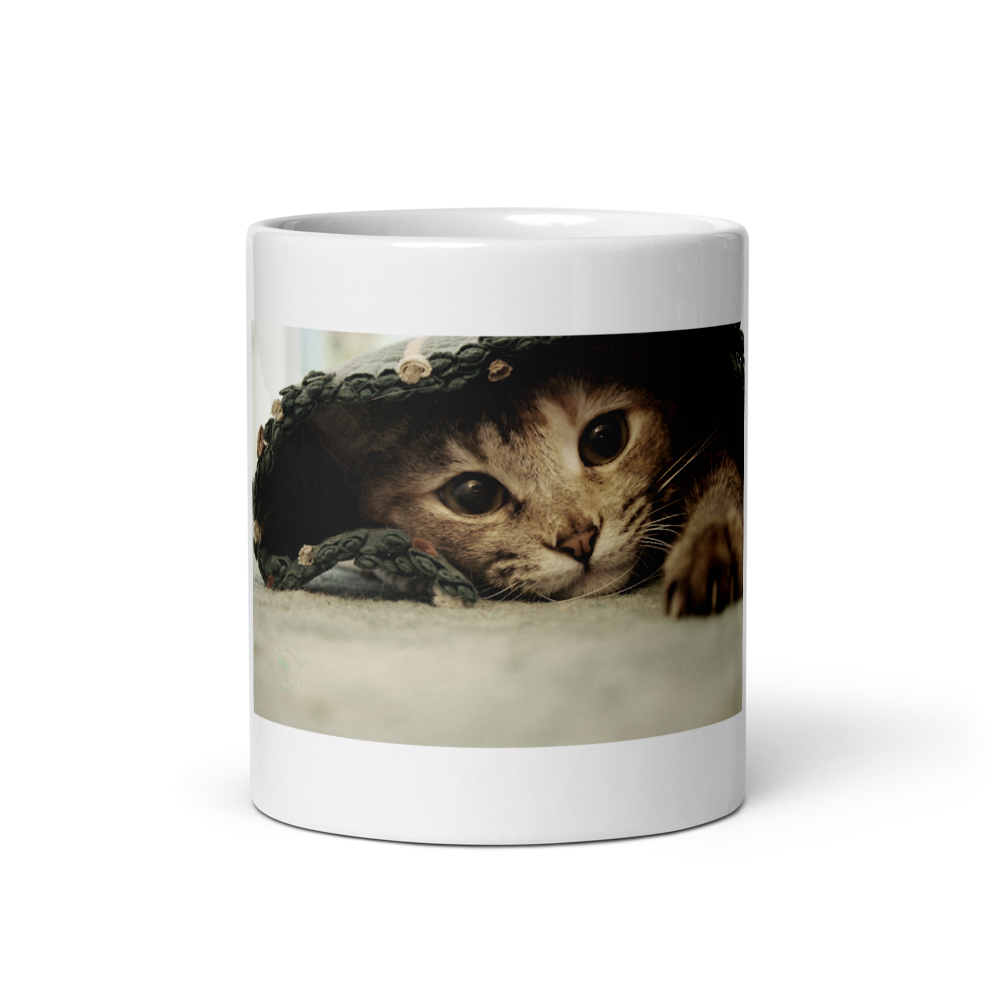 Cat Cupple thumbnail 3