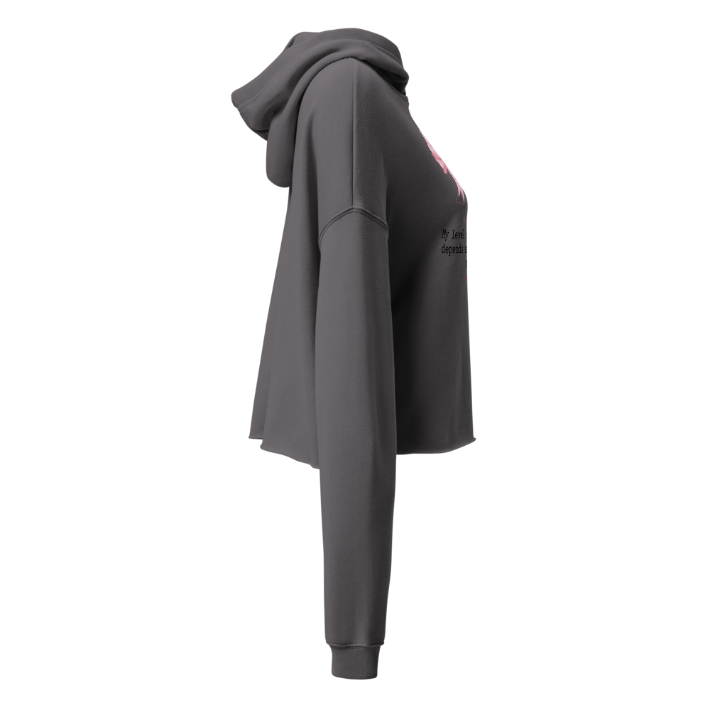Mood Warning Label Women's Cropped Hoodie thumbnail 4
