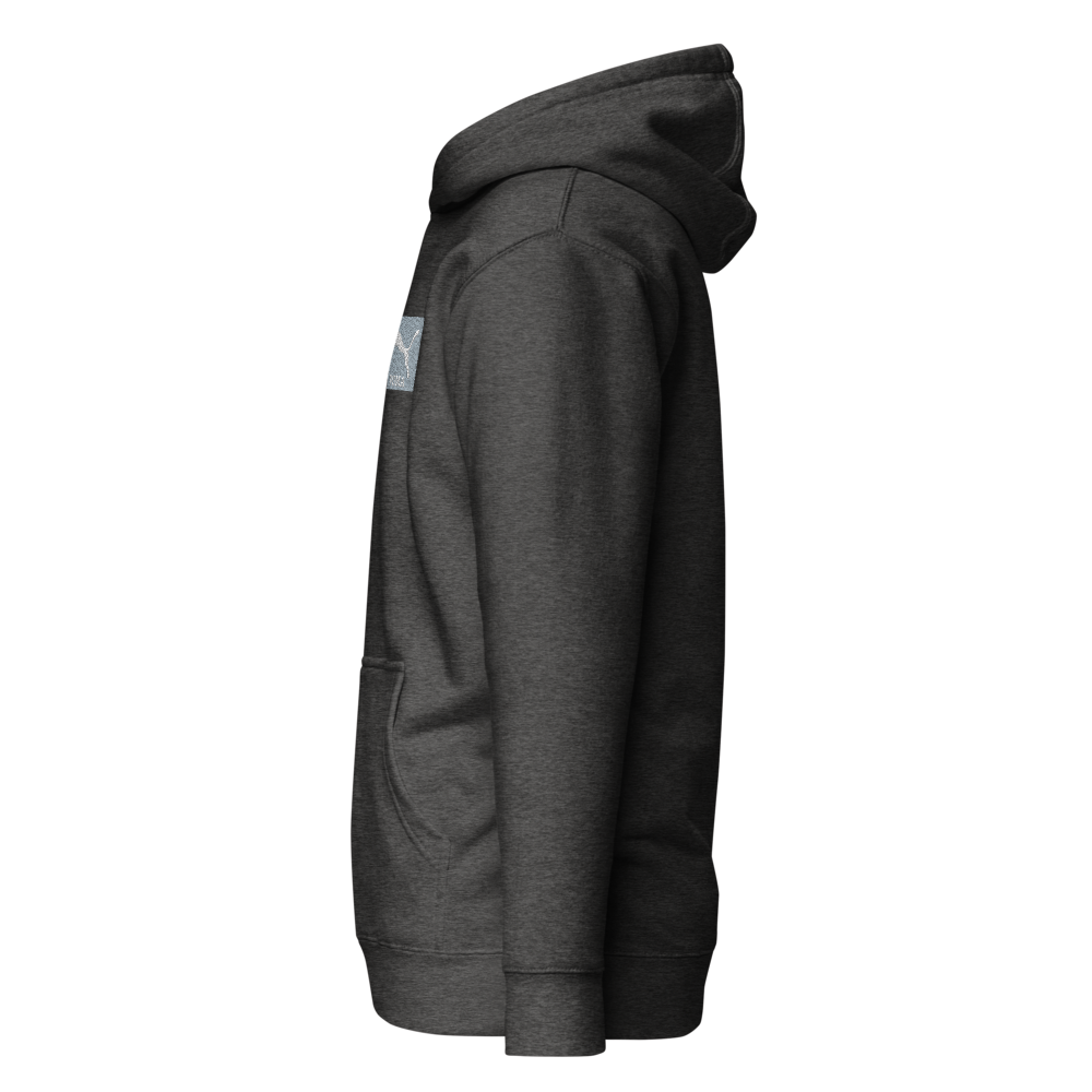 PumaHoodie thumbnail 3