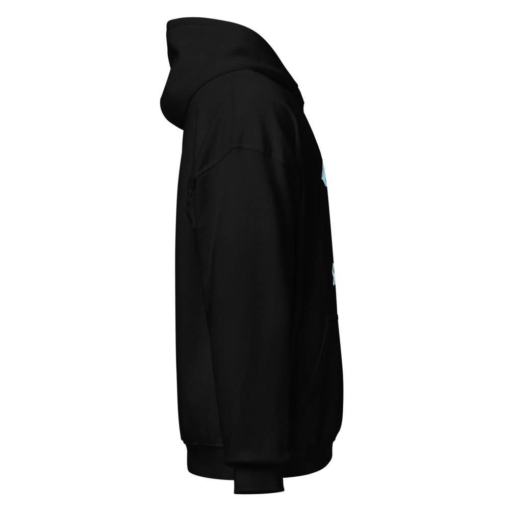 Spark dragon hoodie men and women| spark  thumbnail 4