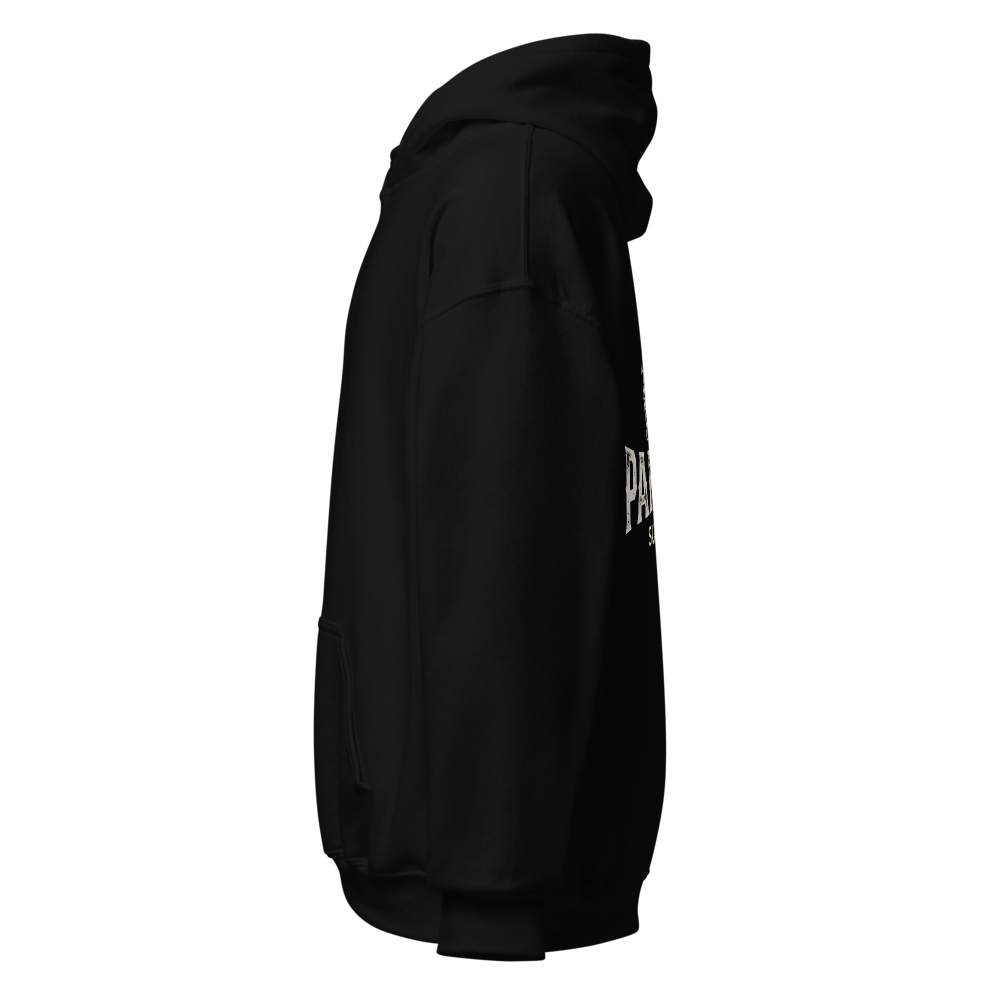 Paradox heavy blend hoodie thumbnail 3