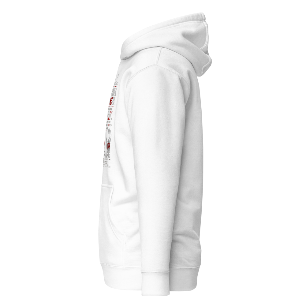 Unisex premium pullover hoodie Cotton Heritage thumbnail 2