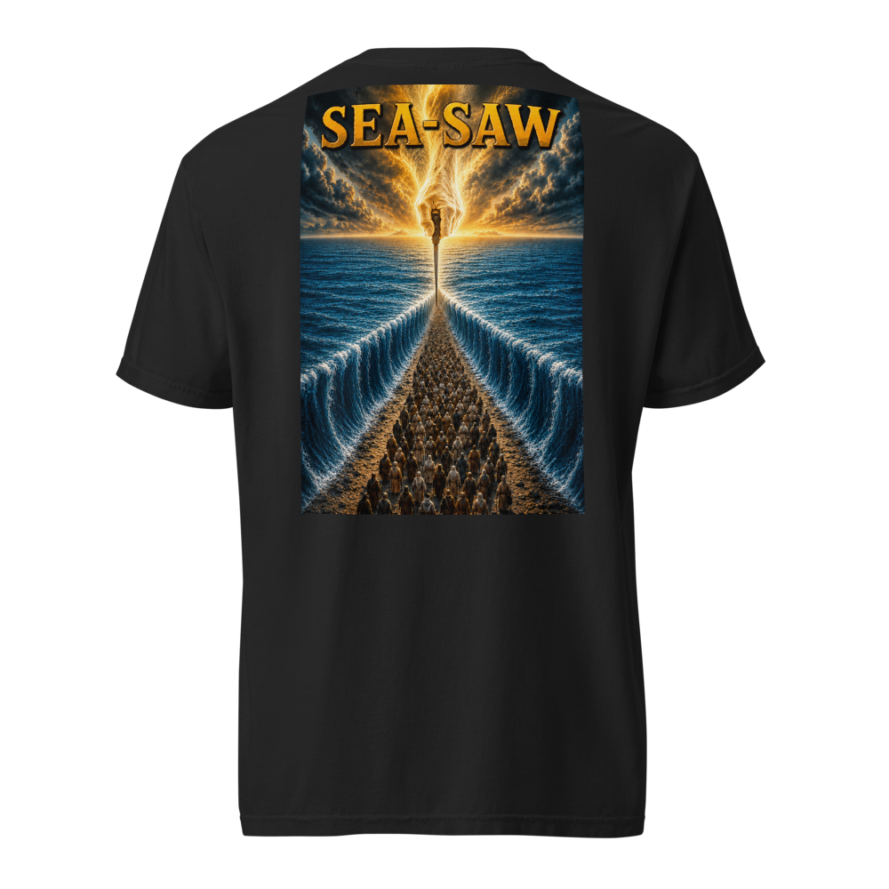 Laughrica — The Sea-Saw thumbnail 4