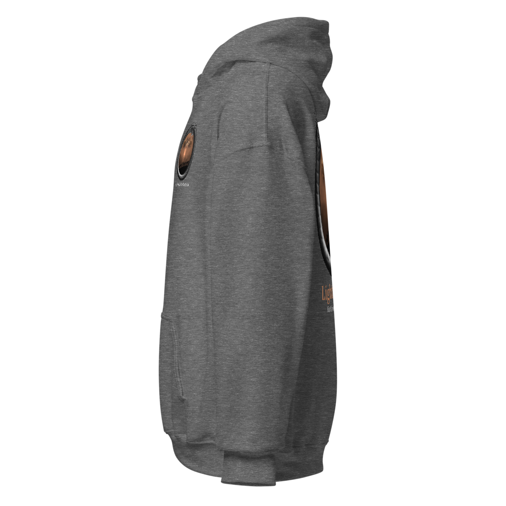 Book 6 - Unisex Heavy Blend Hoodie thumbnail 3