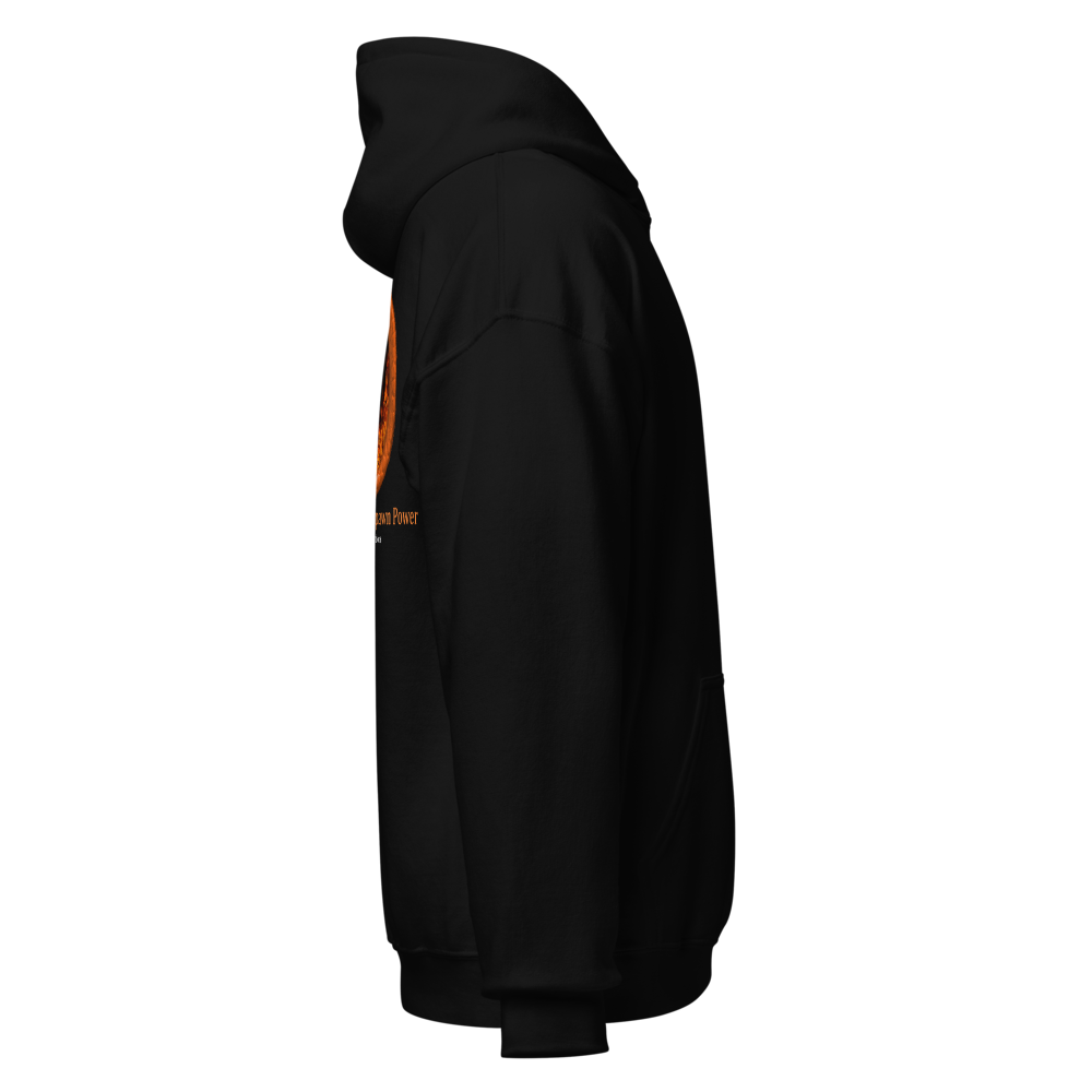 Book 3 - Unisex Heavy Blend Hoodie thumbnail 4