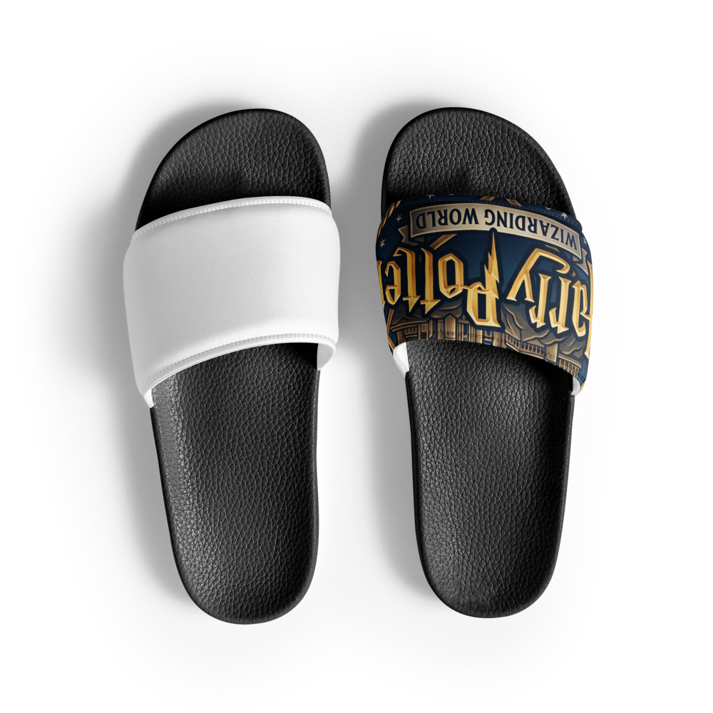 Harry's slides  thumbnail 2