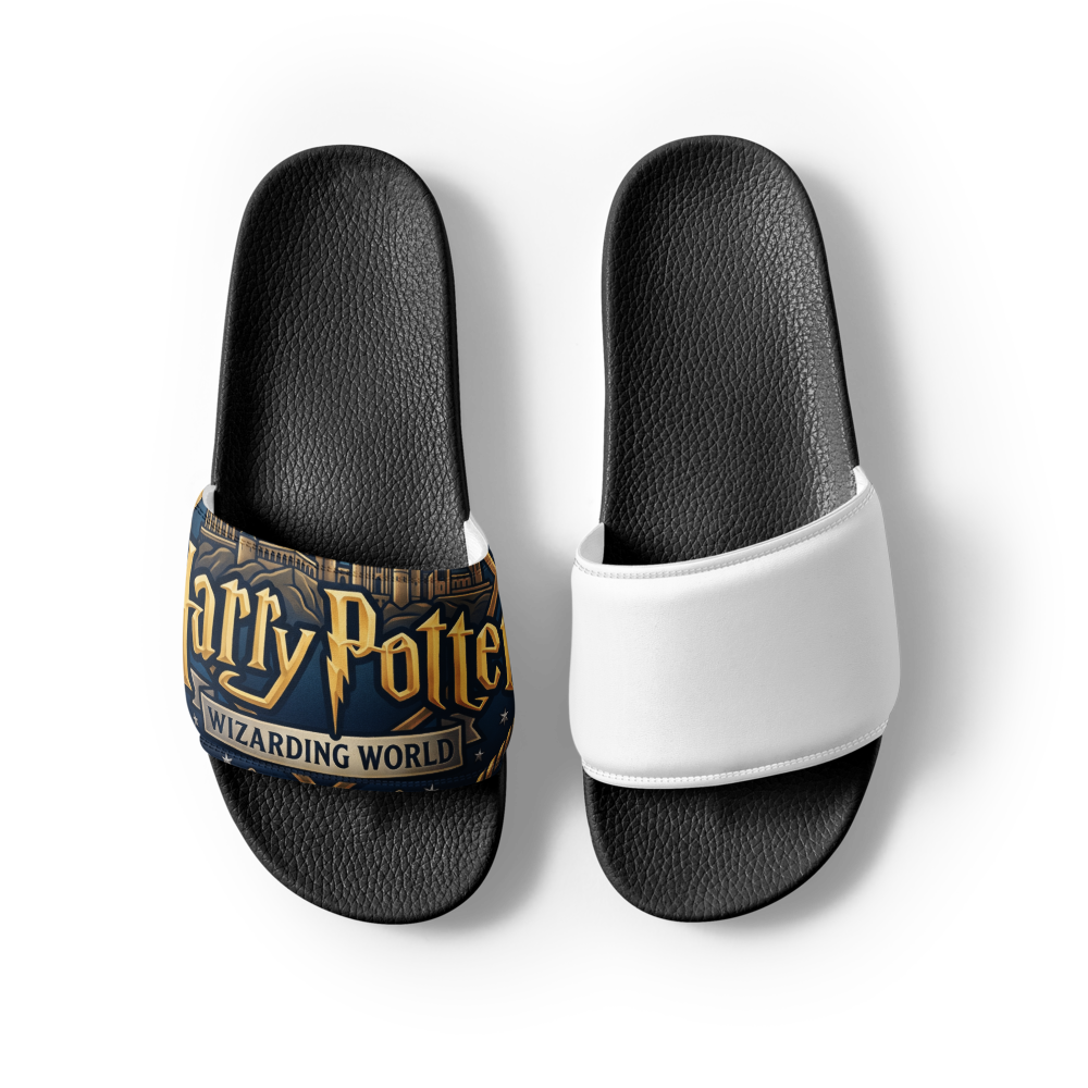 Harry's slides  thumbnail 3
