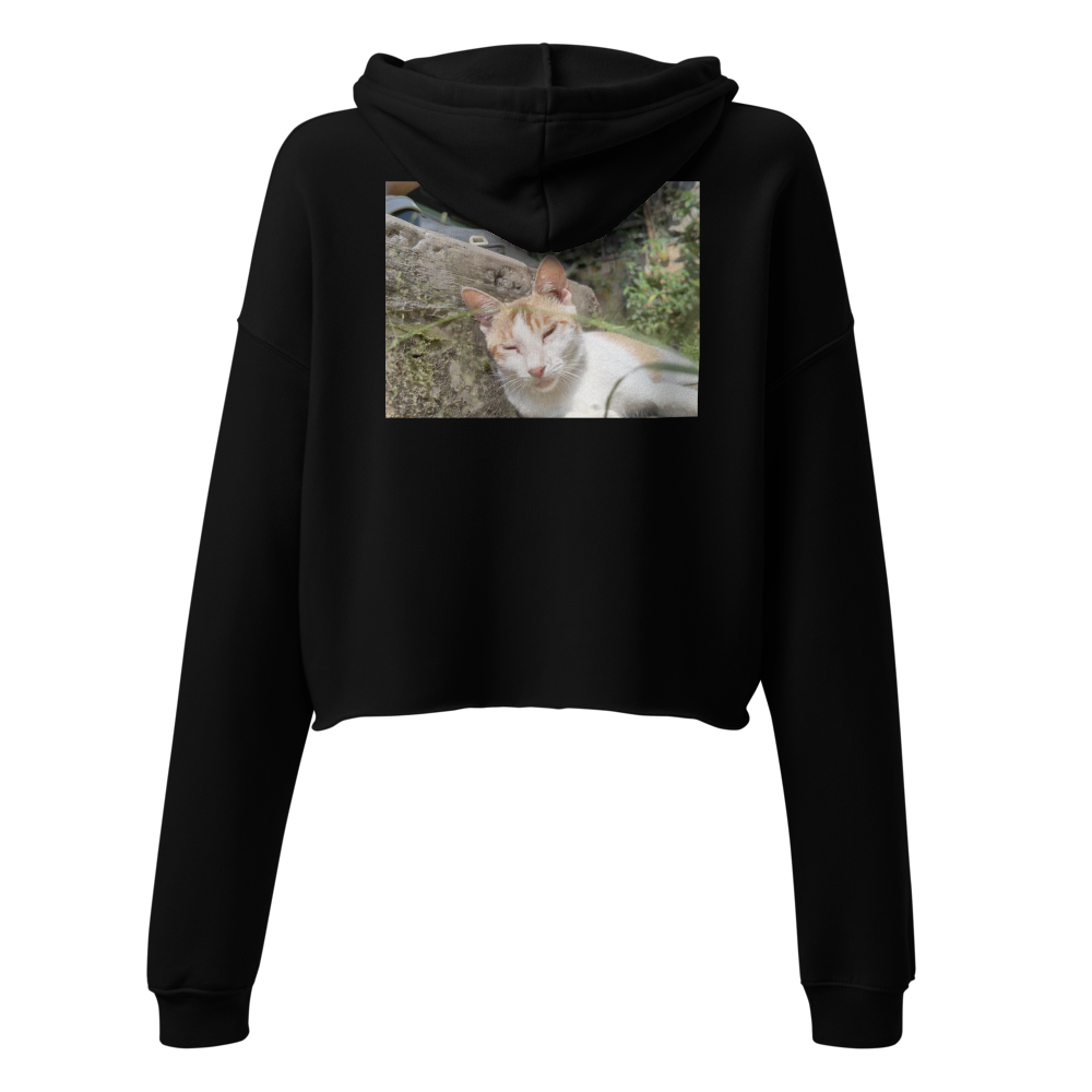 Cat momo  thumbnail 2