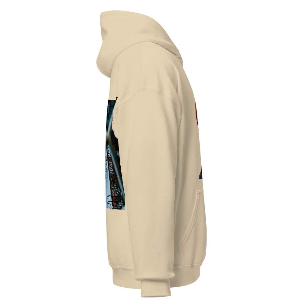 Limited edition heavy blend  unisex hoodie  thumbnail 3