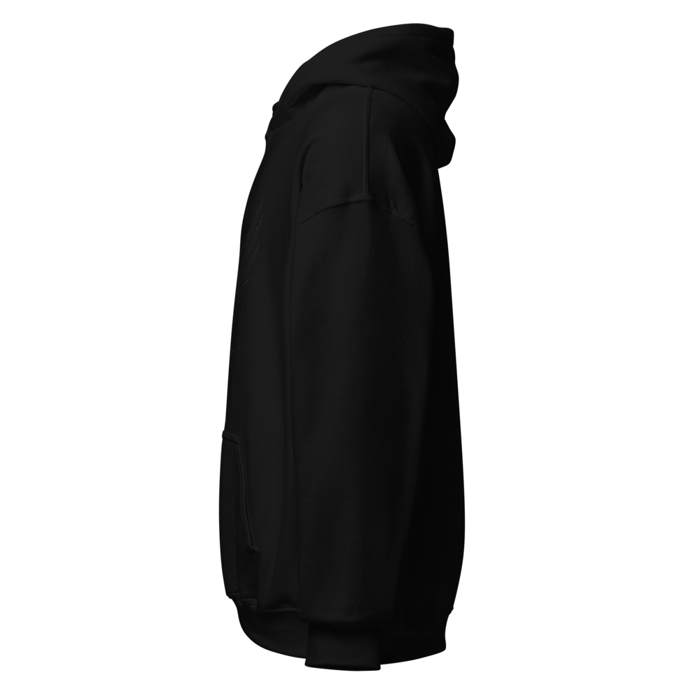 Blue Fire Eagle – Silent Dominance (Black Hoodie) thumbnail 2