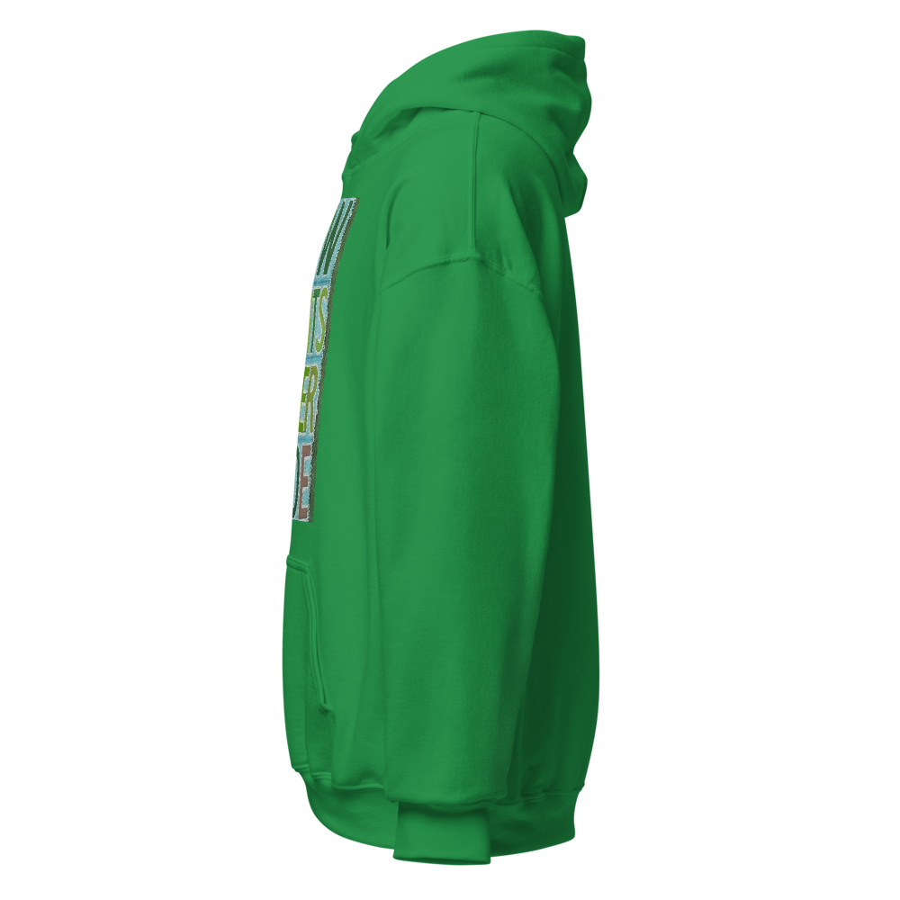 Unisex Heavy Blend Hoodie  thumbnail 3
