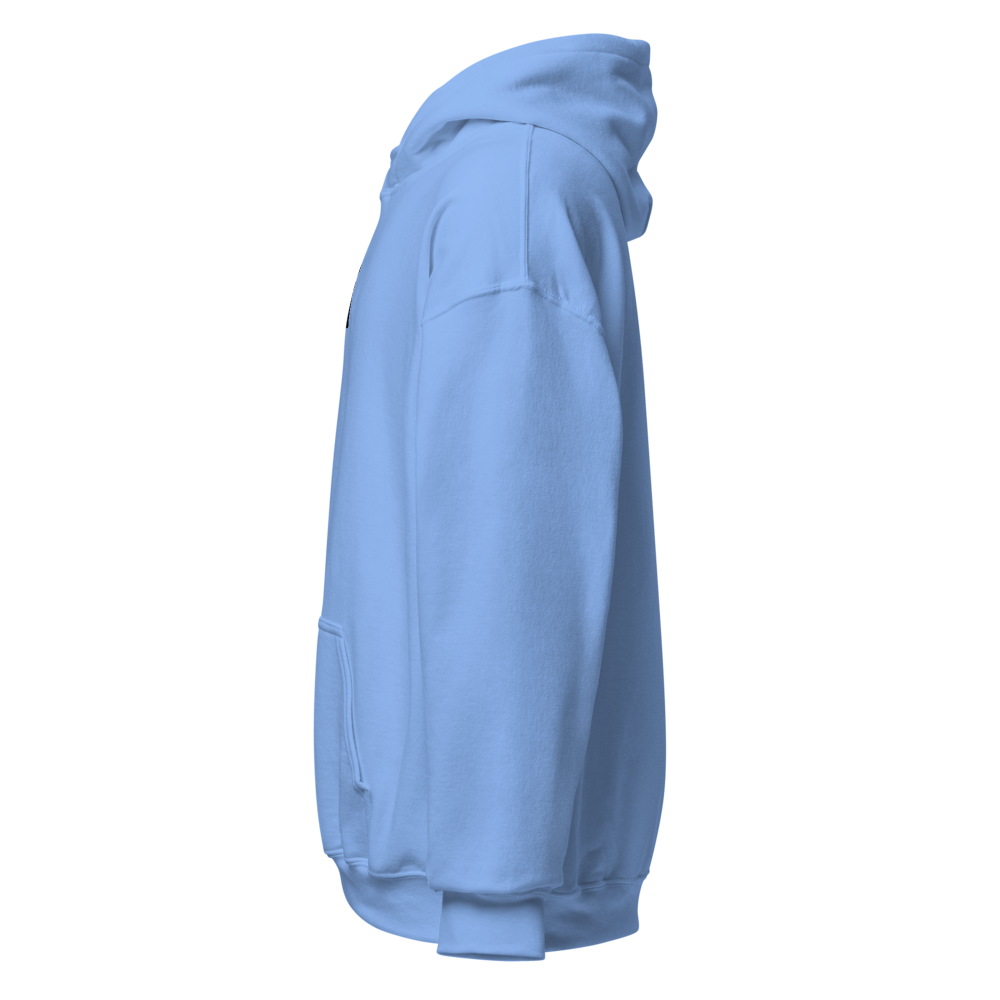 AK Men Unisex Heavy Blend Hoodie  thumbnail 3