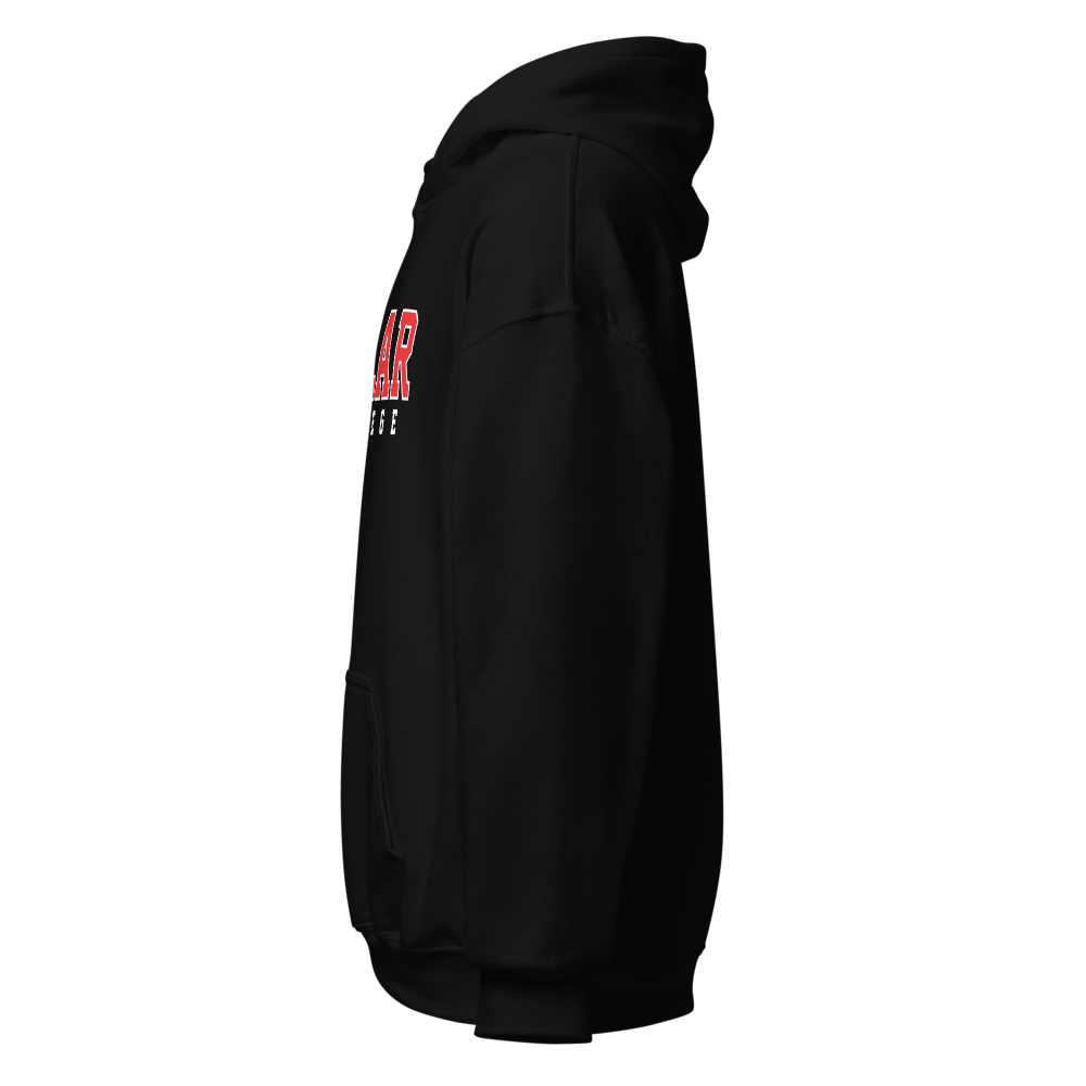 Pillar College Hoodie thumbnail 3