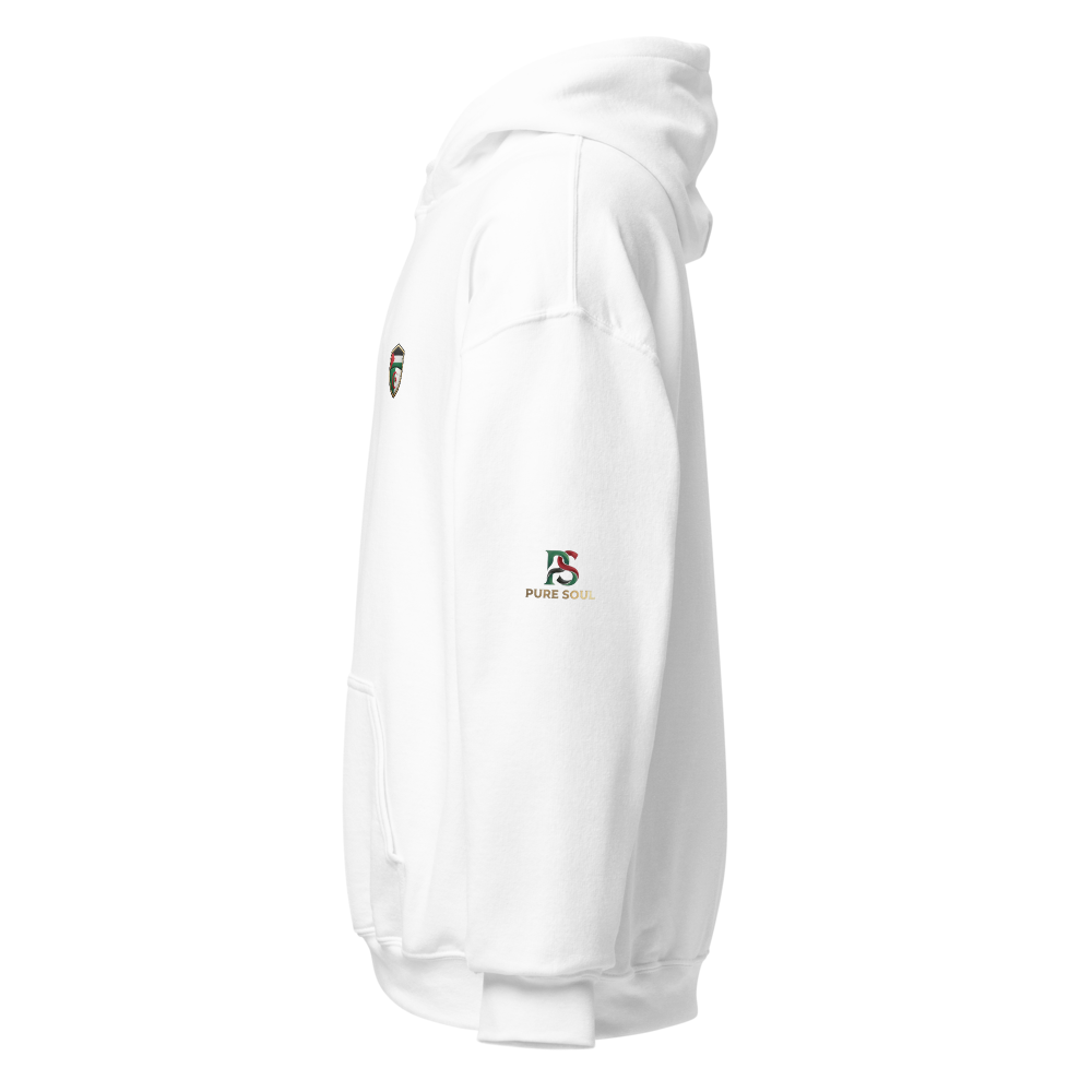 Algeria and Palestine Solidarity Minimalist Hoodie thumbnail 3
