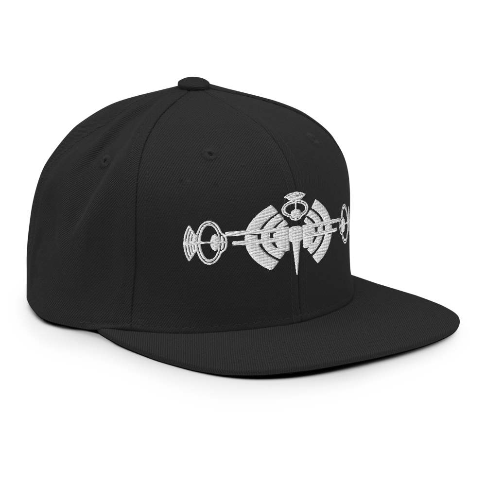 FREQUENCY SNAPBACK thumbnail 4