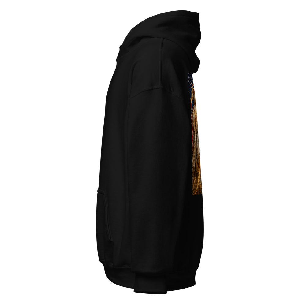 America Is God's Country Hoodie thumbnail 2