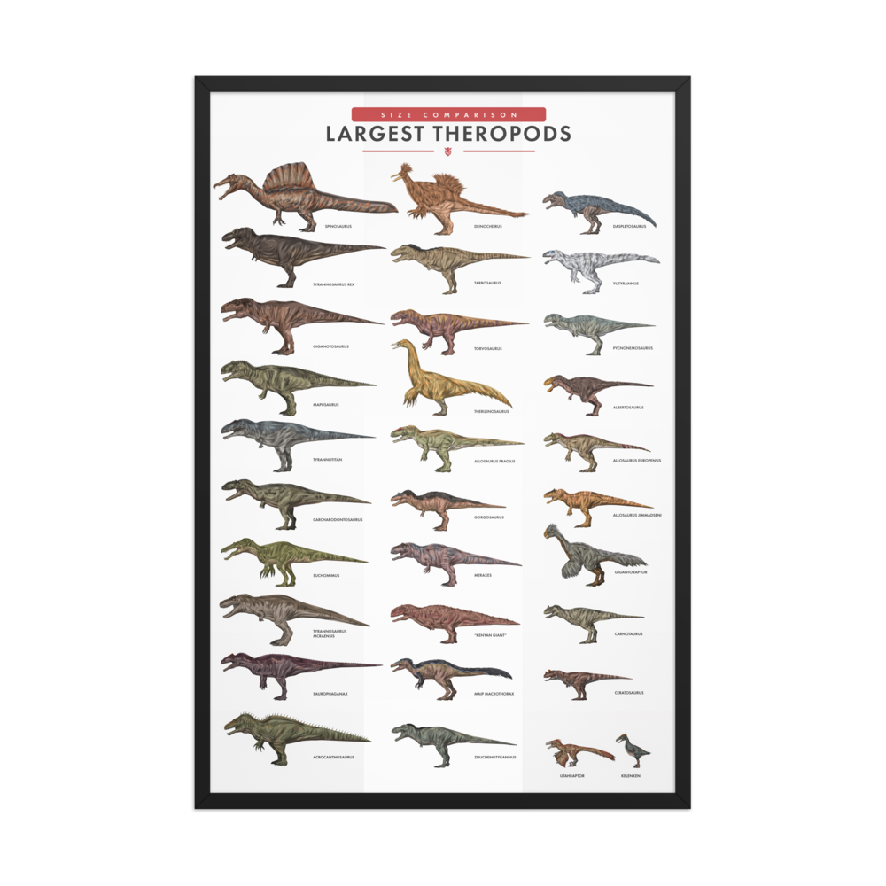 Largest Theropods Poster -White version  thumbnail 2