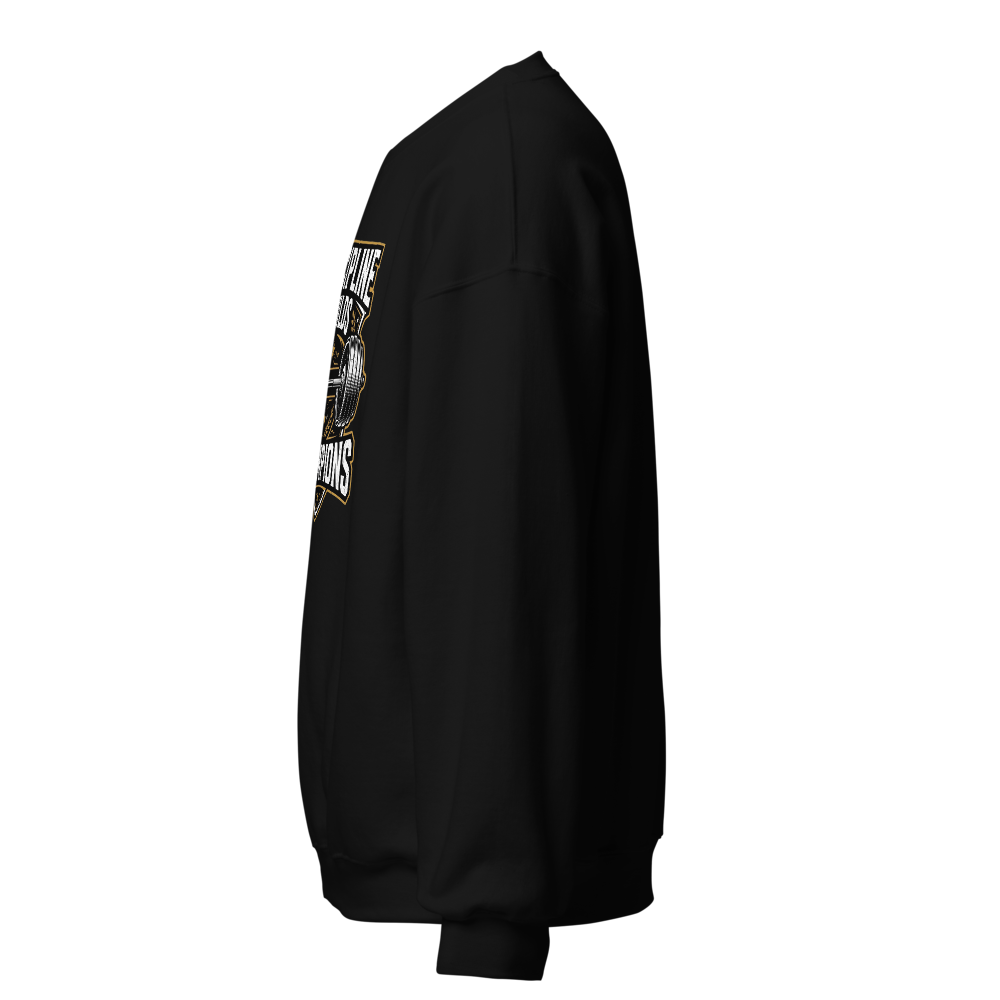 Discipline Builds Champions Gym hoodie thumbnail 3