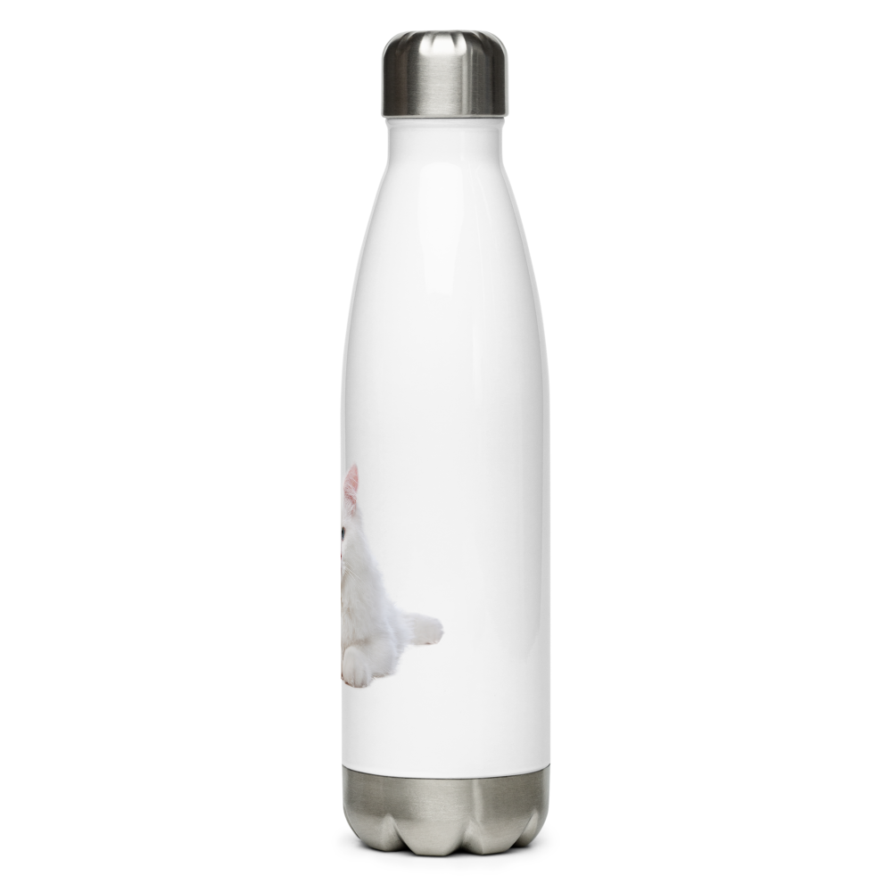 stainless steel water bottle thumbnail 3