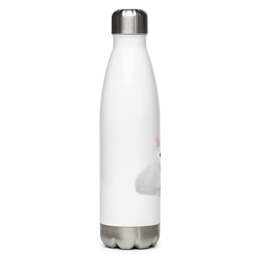 stainless steel water bottle thumbnail 2
