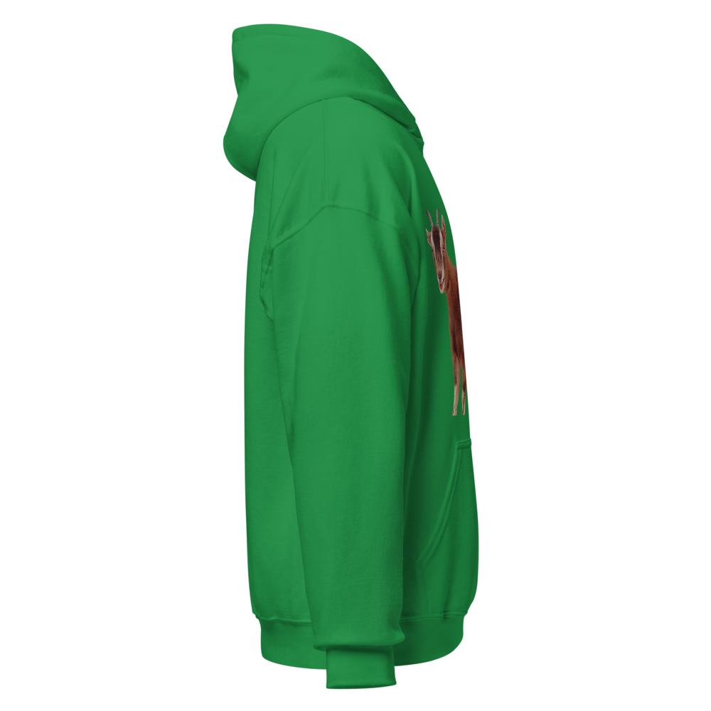 unisex hoodie thumbnail 4