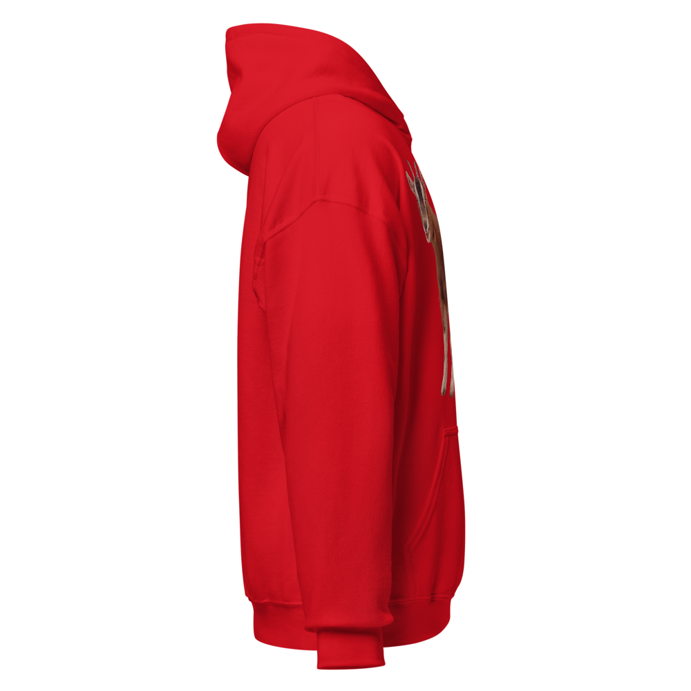 unisex hoodie thumbnail 4