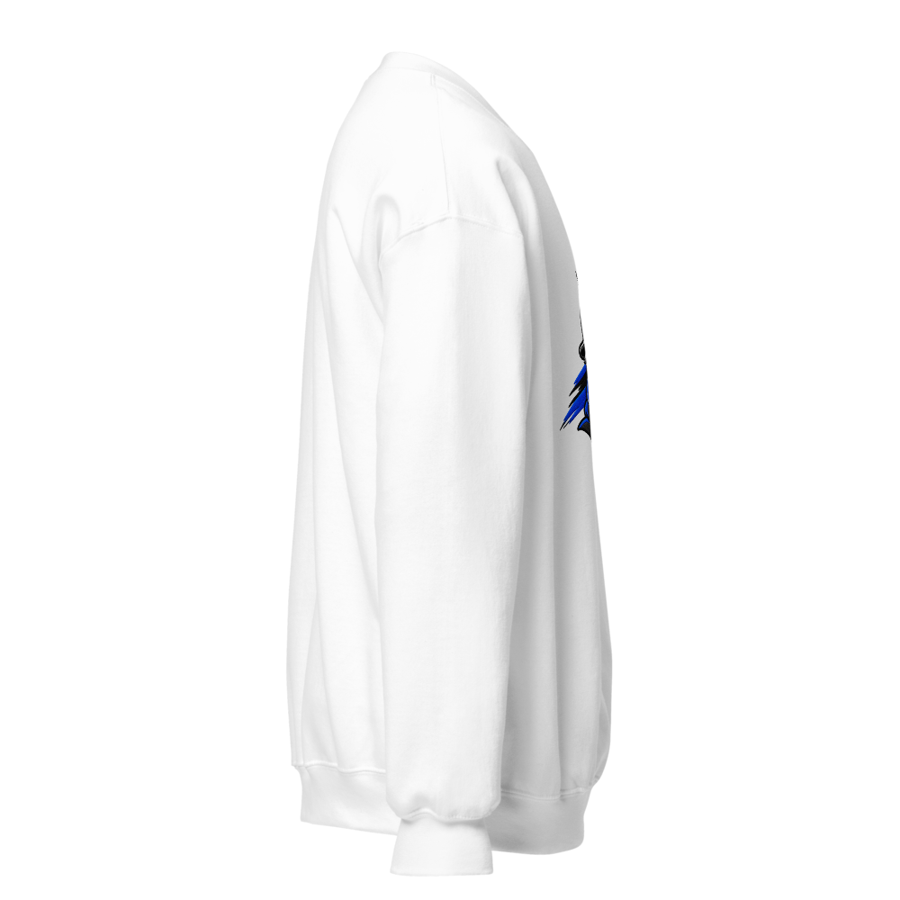 Premium Graphic Sweatshirt  thumbnail 4