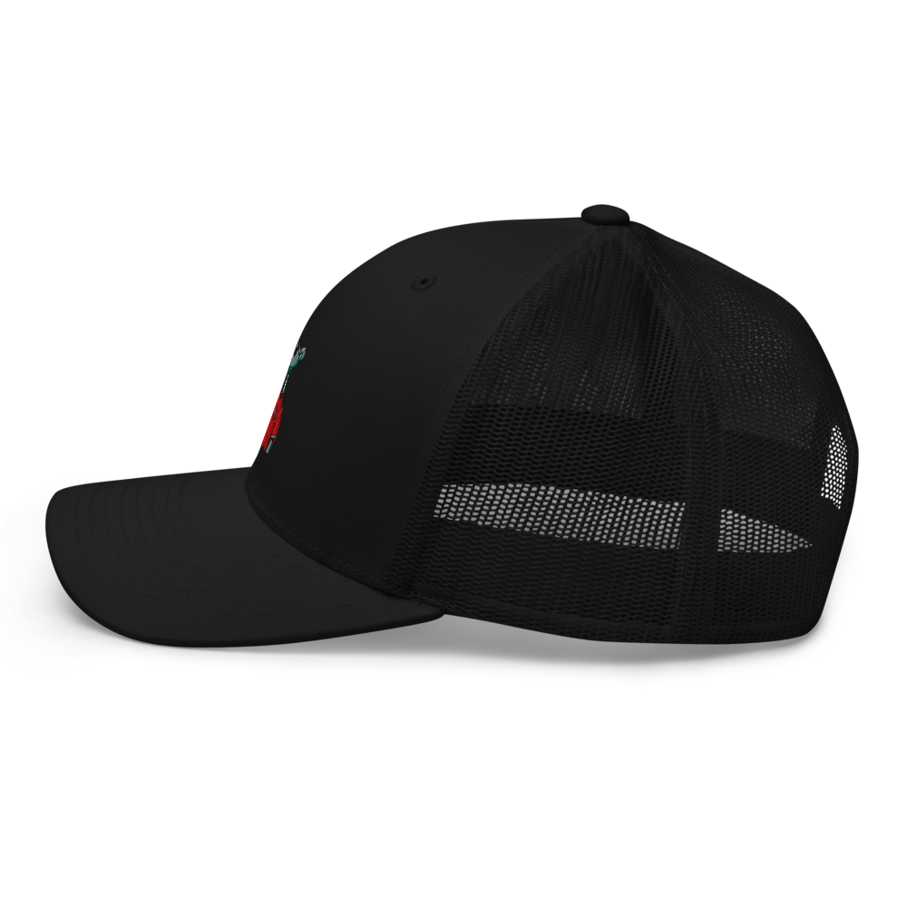 Pink pinter cap is pinching  thumbnail 3