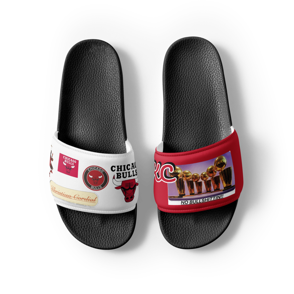 BULLS SLIDES thumbnail 2