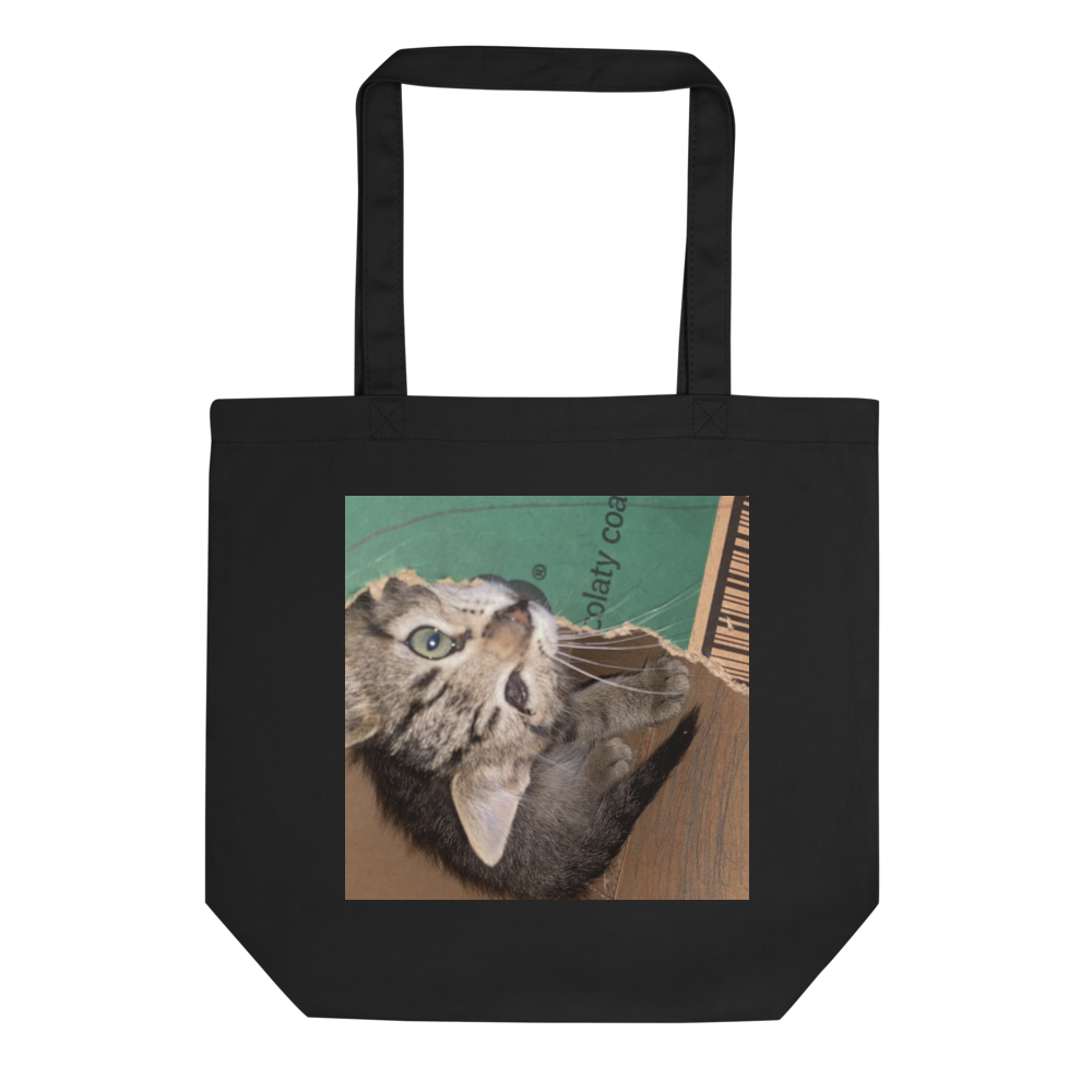 A kittyplayskitty bag thumbnail 2