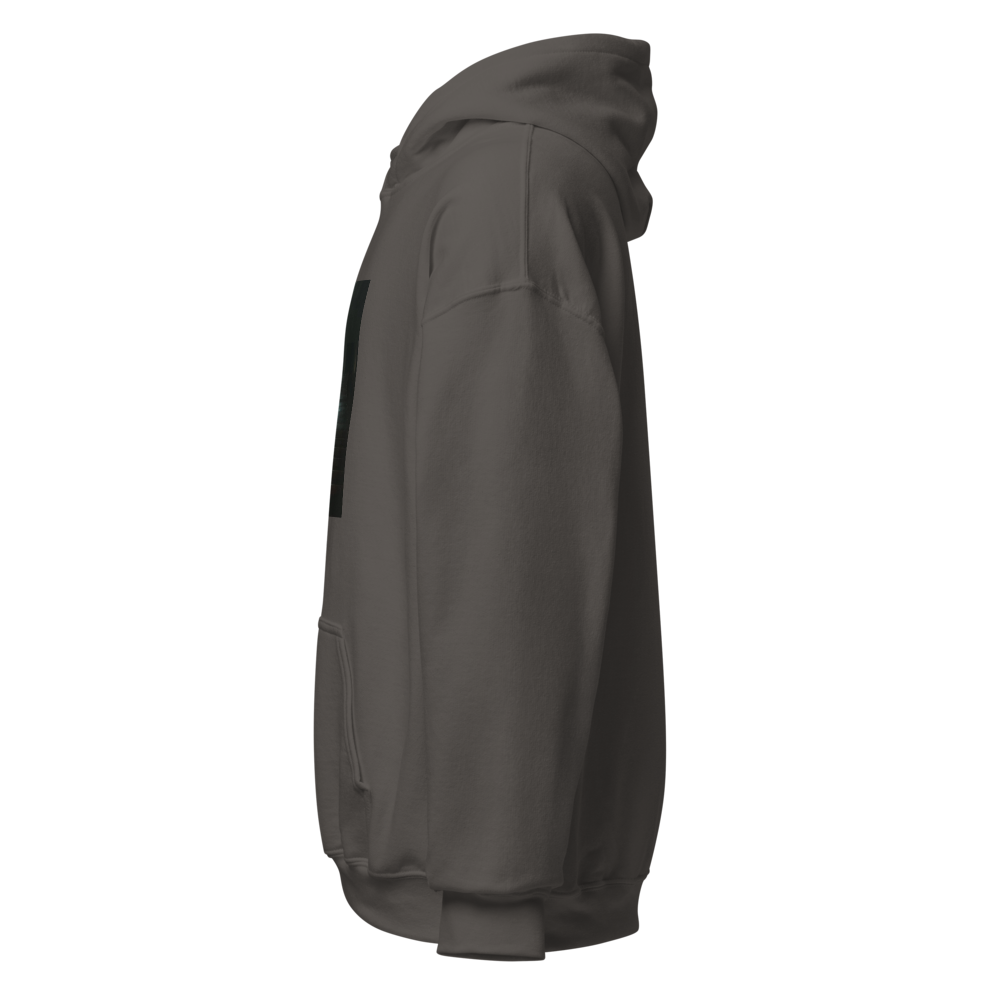 NF Mansion shadows Hoodie thumbnail 3