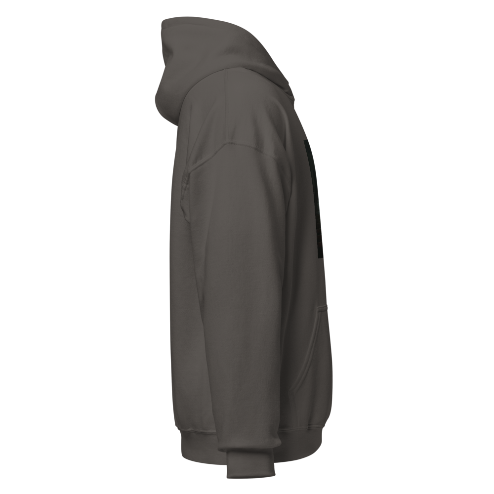 NF Mansion shadows Hoodie thumbnail 4