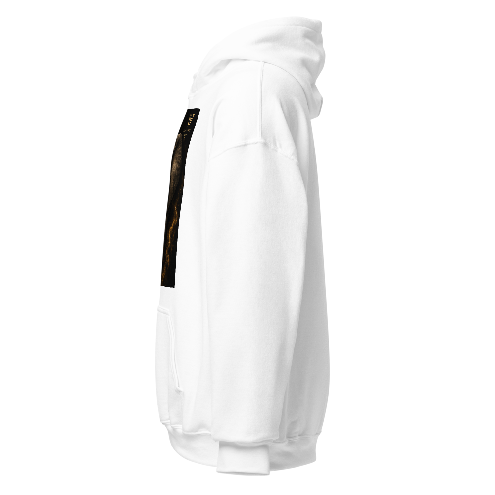 🧥 Premium Unisex Heavy Blend Hoodie thumbnail 4