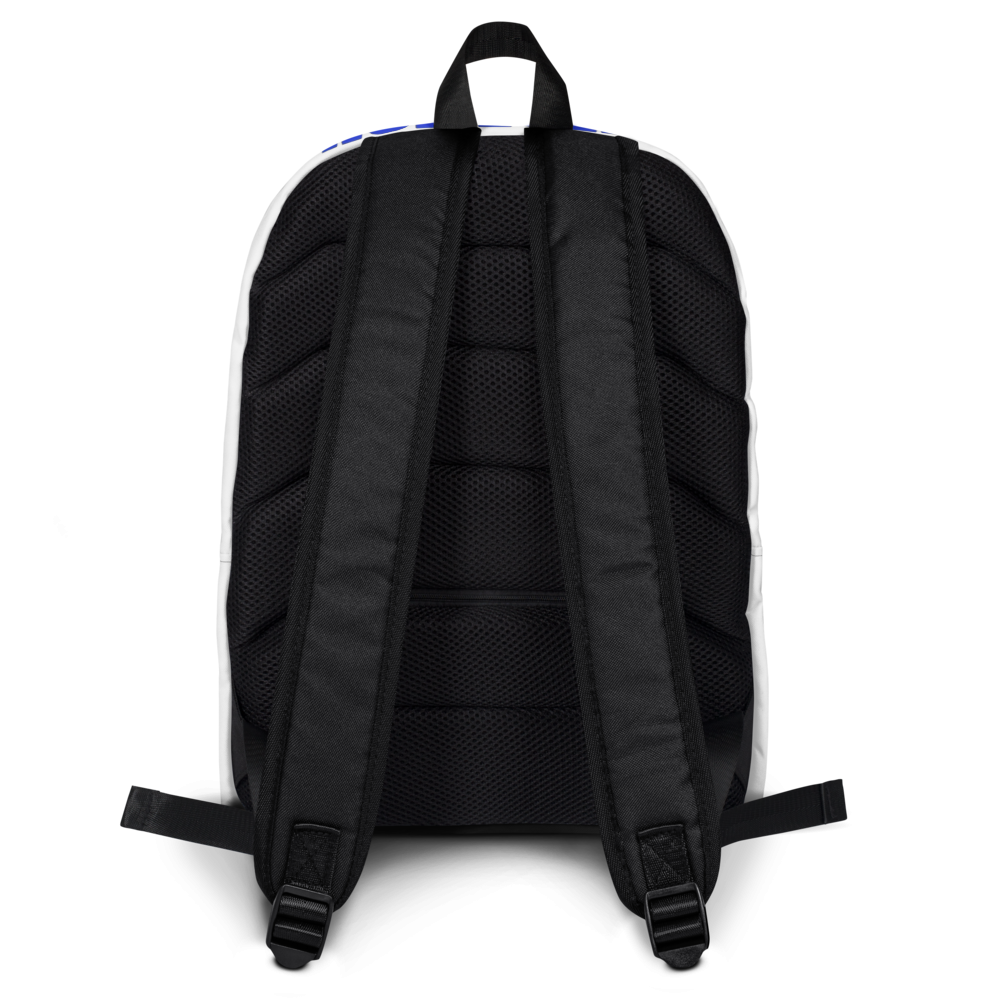 BlueDemon Backpack thumbnail 2