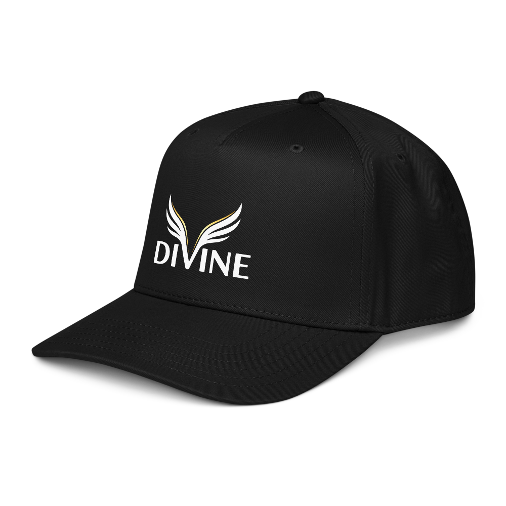 Divine 2.0 - Statement  Cap thumbnail 3