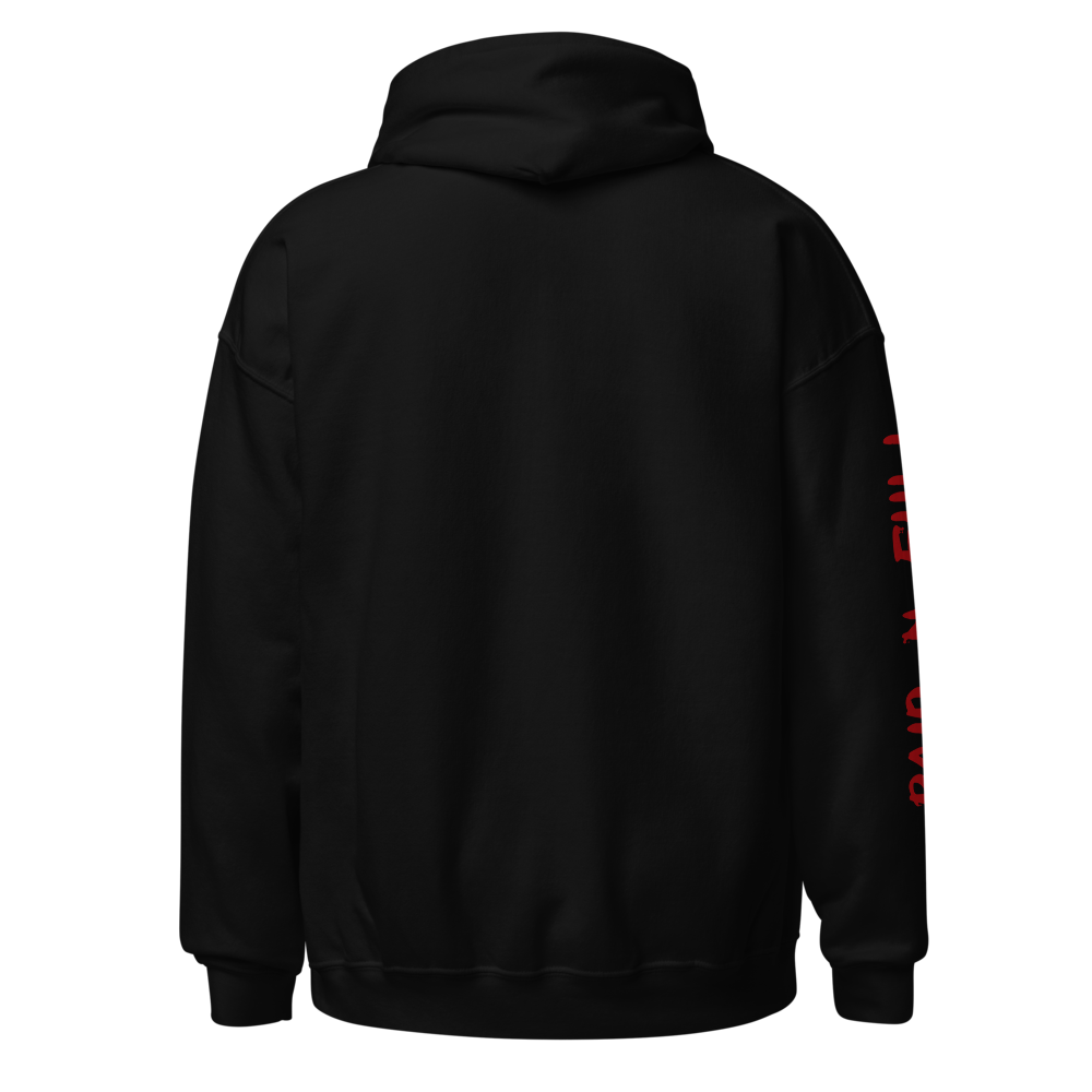 Unisex Hoodie thumbnail 4