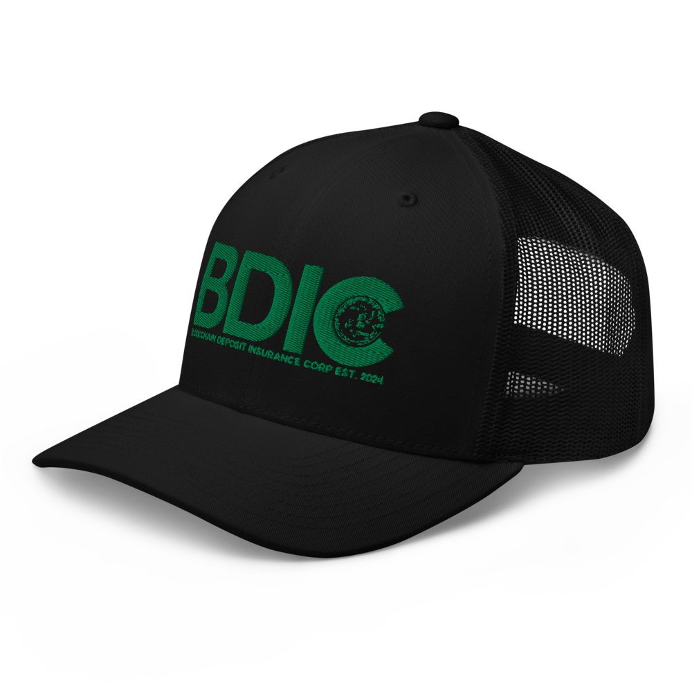 BDIC HAT thumbnail 4