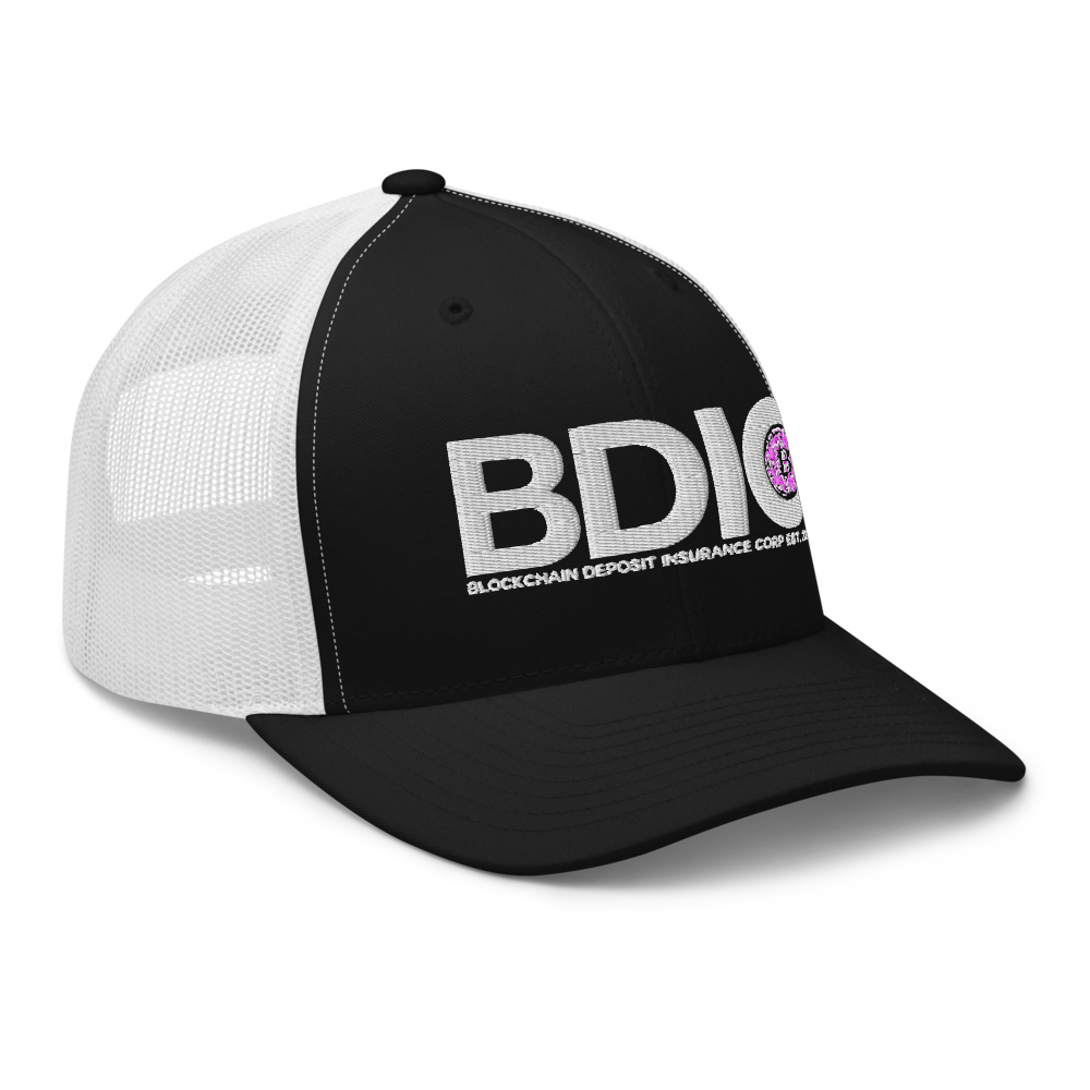 BDIC RETRO HAT thumbnail 6