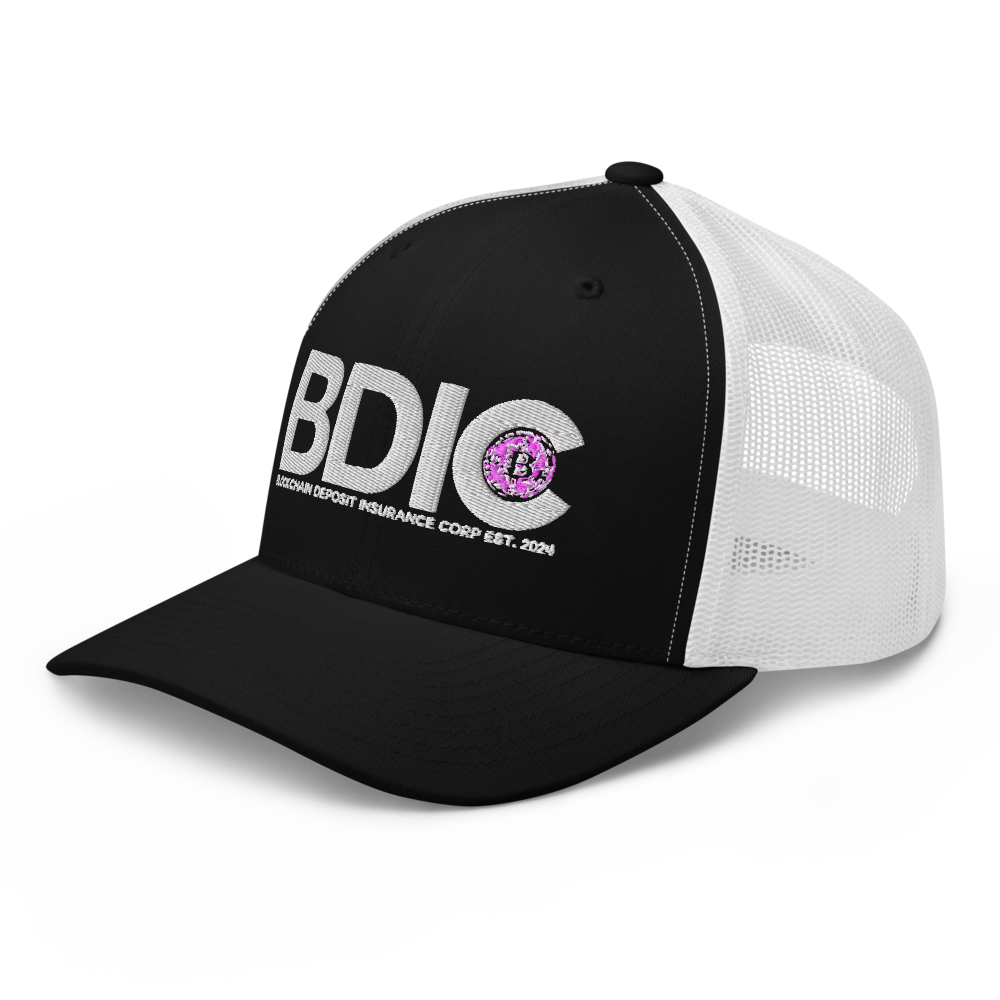 BDIC RETRO HAT thumbnail 4