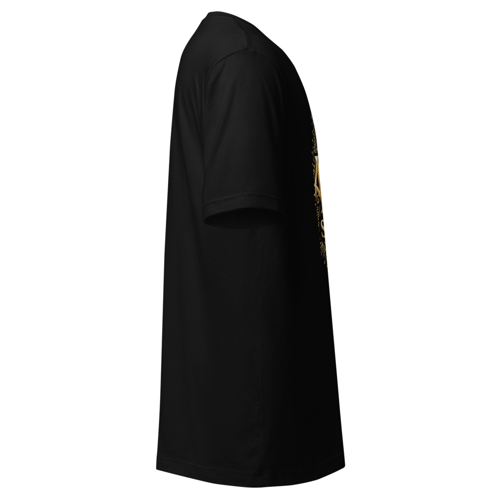 Aura Strength Premium Aesthetic Black T-Shirt  thumbnail 4
