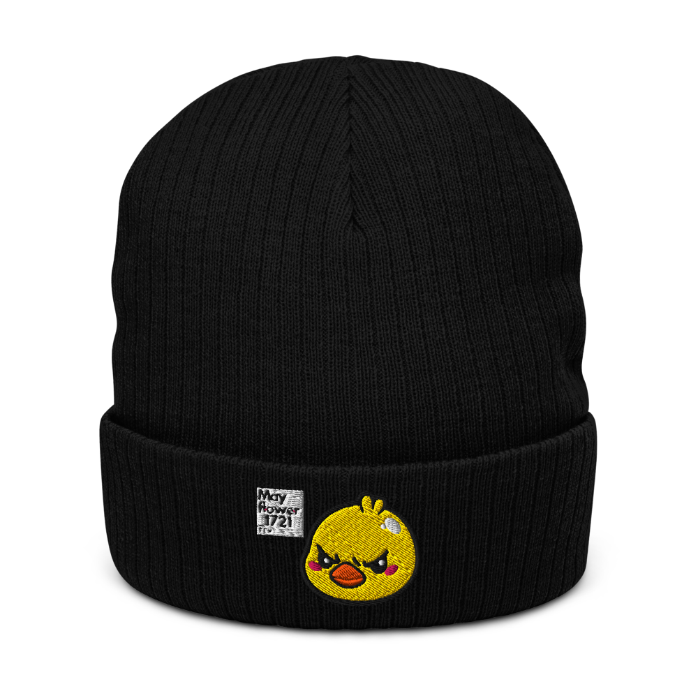 Ribbed Duck Beanie