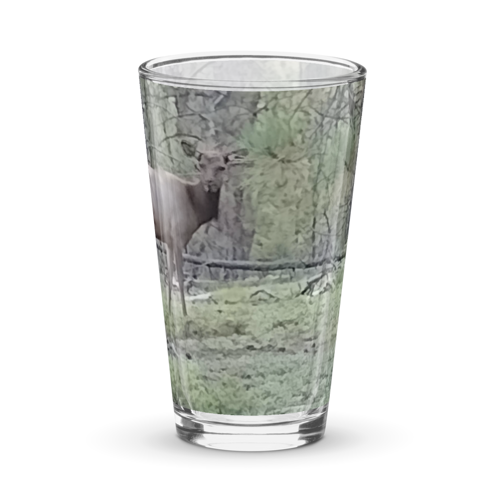Elk Glass  thumbnail 4