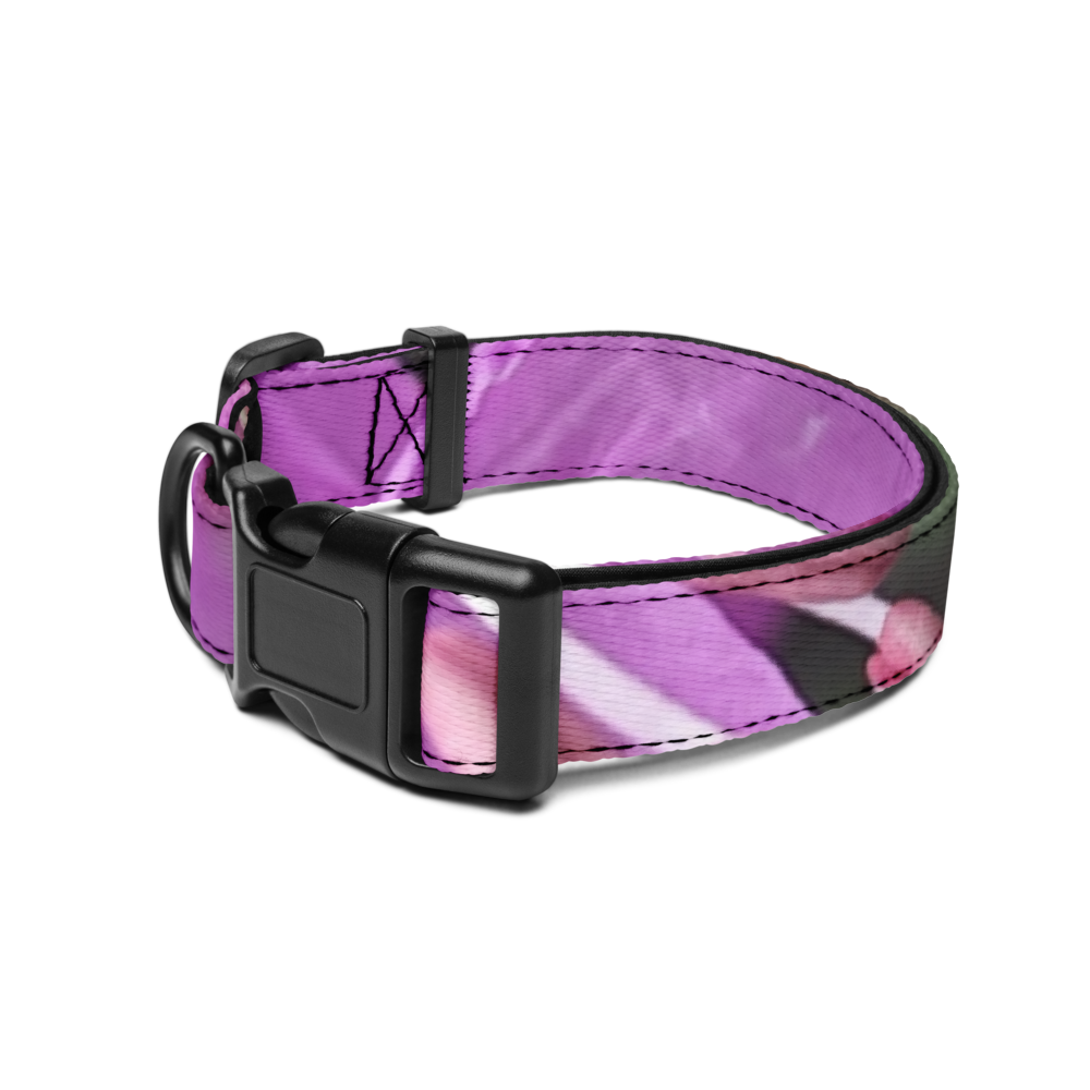 M Dog Collar  thumbnail 2