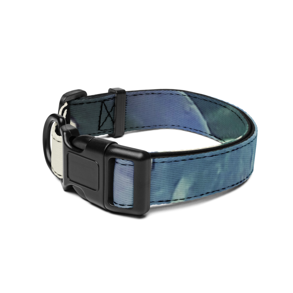 L Dog Collar  thumbnail 2